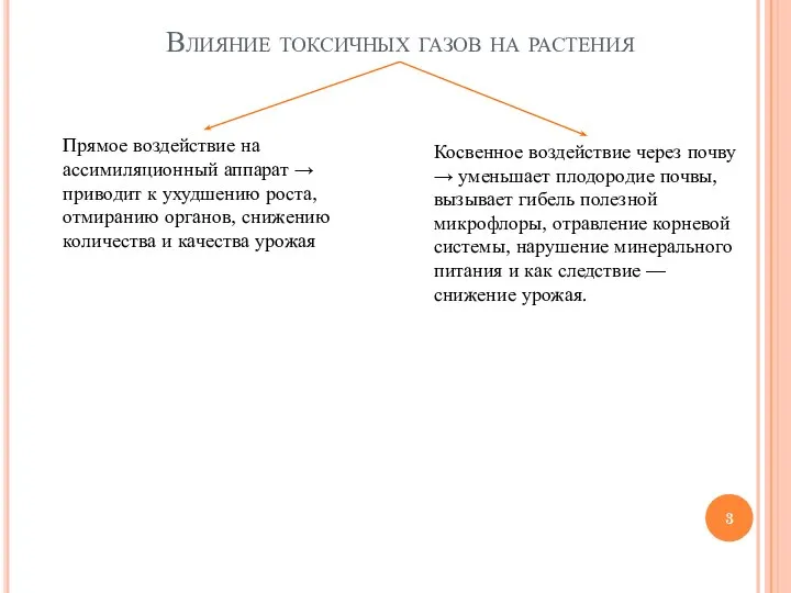 Влияние токсичных газов на растения Прямое воздействие на ассимиляционный аппарат →