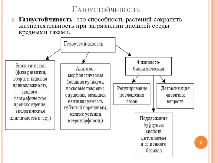 Газоустойчивость Газоустойчивость- это способность растений сохранять жизнедеятельность при загрязнении внешней среды вредными газами.