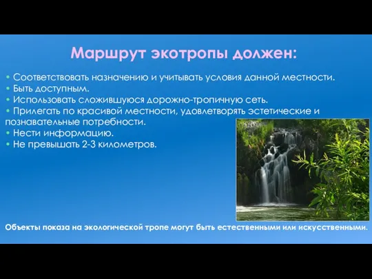 Маршрут экотропы должен: Объекты показа на экологической тропе могут быть естественными