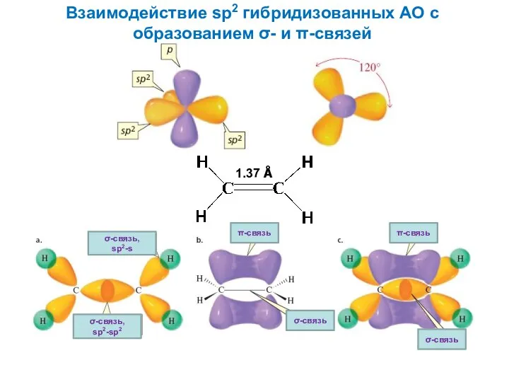 Взаимодействие sp2 гибридизованных АО с образованием σ- и π-связей σ-связь, sp2-sp2