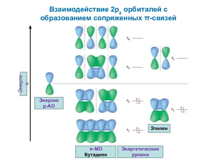 Взаимодействие 2pz орбиталей с образованием сопряженных π-связей Энергетические уровни Этилен Энергия p-АО π-MO Бутадиен Энергия