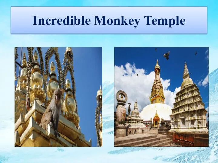 Incredible Monkey Temple