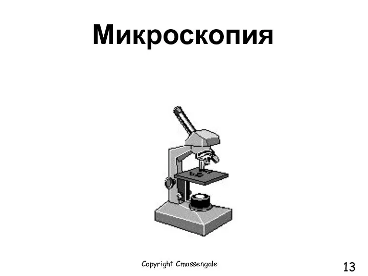 Микроскопия Copyright Cmassengale