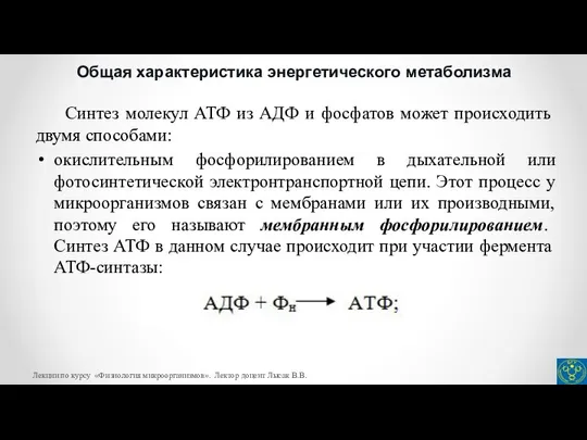 Общая характеристика энергетического метаболизма Лекции по курсу «Физиология микроорганизмов». Лектор доцент