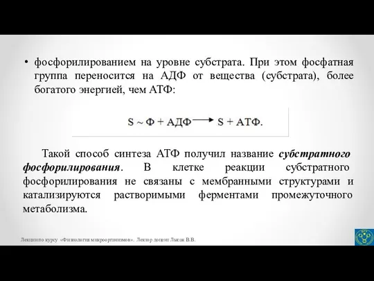 Лекции по курсу «Физиология микроорганизмов». Лектор доцент Лысак В.В. фосфорилированием на