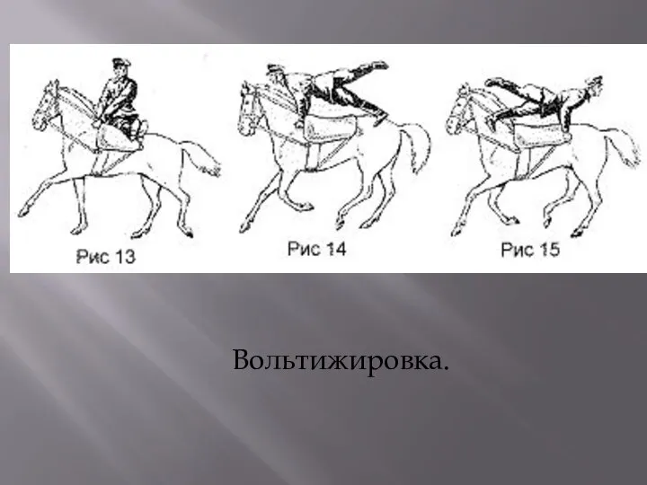 Вольтижировка.