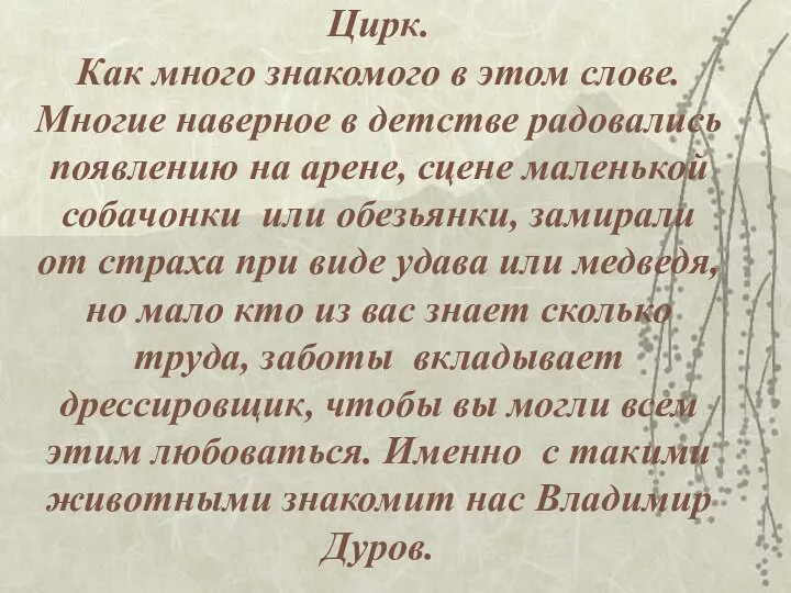 Цирк. Как много знакомого в этом слове. Многие наверное в детстве