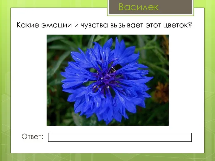 Какие эмоции и чувства вызывает этот цветок? Ответ: Василек