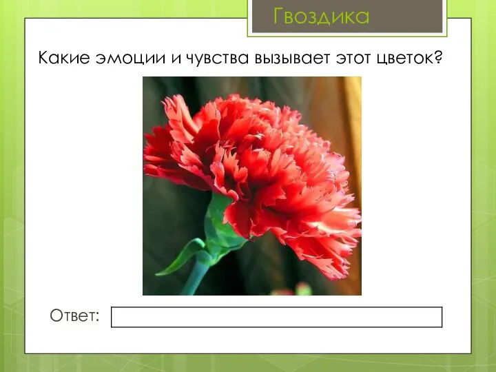 Какие эмоции и чувства вызывает этот цветок? Ответ: Гвоздика