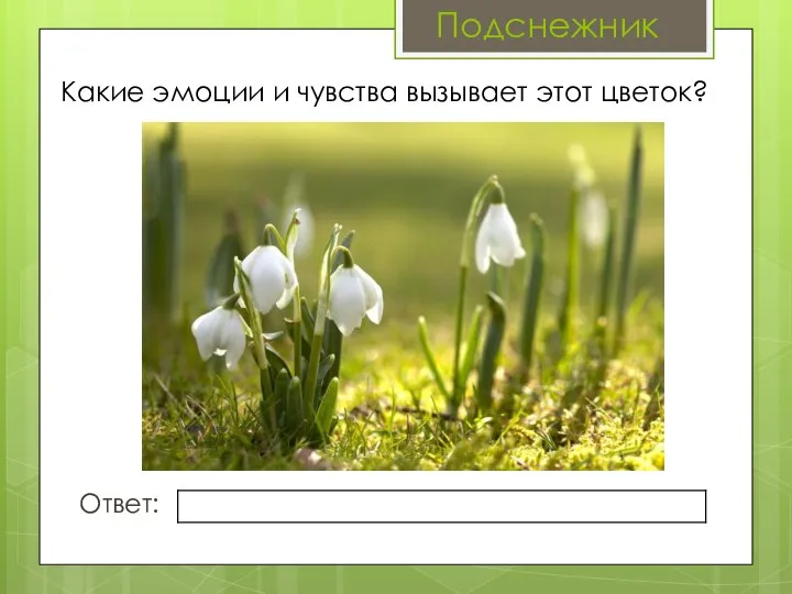 Какие эмоции и чувства вызывает этот цветок? Ответ: Подснежник