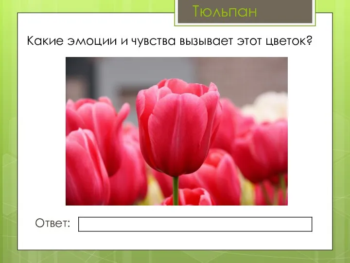 Какие эмоции и чувства вызывает этот цветок? Ответ: Тюльпан
