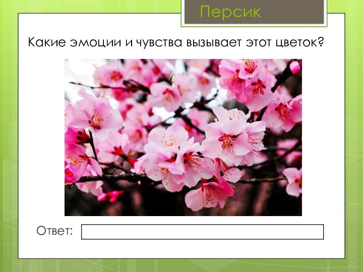 Какие эмоции и чувства вызывает этот цветок? Ответ: Персик
