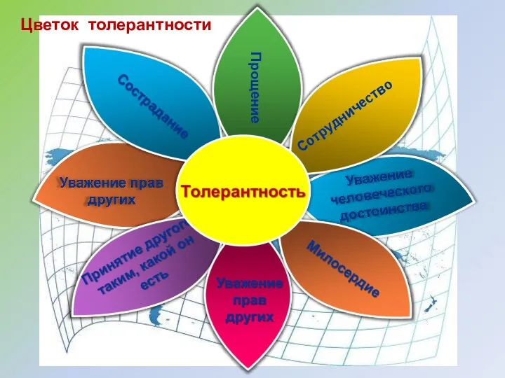 Сотрудничество Прощение Цветок толерантности