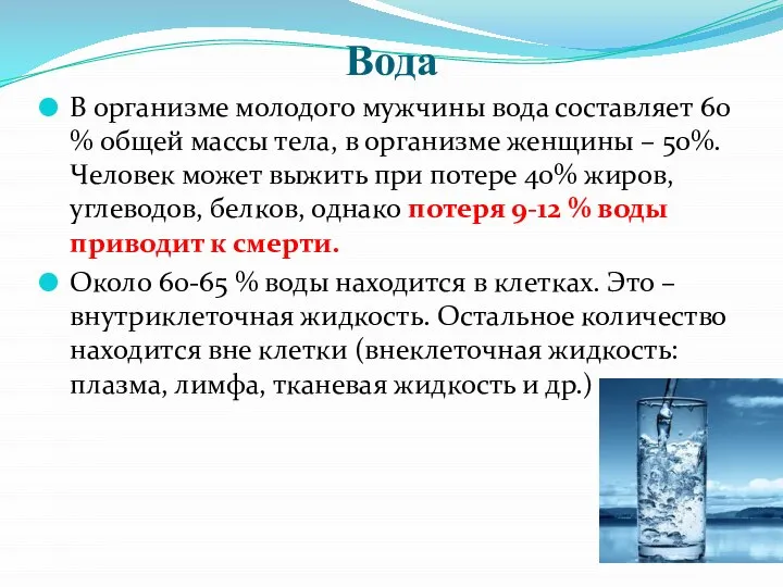 Вода В организме молодого мужчины вода составляет 60 % общей массы