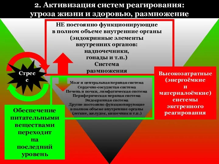 2. Активизация систем реагирования: угроза жизни и здоровью, размножение НЕ постоянно