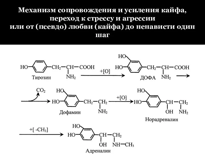 Механизм сопровождения и усиления кайфа, переход к стрессу и агрессии или