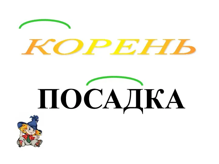 ПОСАДКА КОРЕНЬ