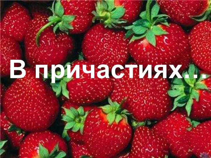 В причастиях…