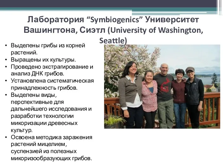 Лаборатория “Symbiogenics” Университет Вашингтона, Сиэтл (University of Washington, Seattle) Выделены грибы