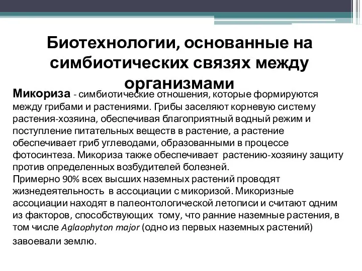 Биотехнологии, основанные на симбиотических связях между организмами Микориза - симбиотические отношения,