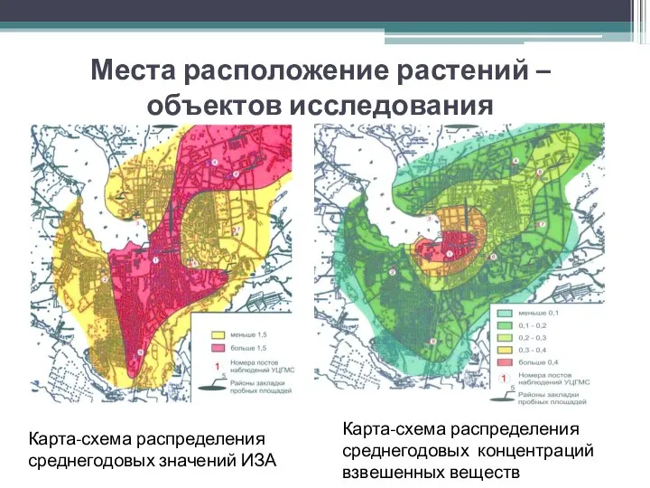 Места расположение растений – объектов исследования Карта-схема распределения среднегодовых значений ИЗА