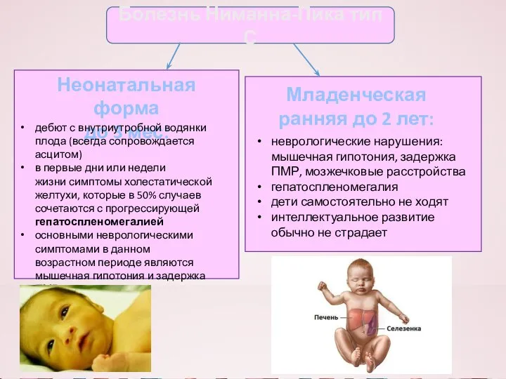 Болезнь Ниманна-Пика тип С Неонатальная форма до 3 мес: Младенческая ранняя