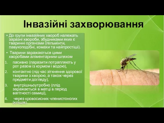 Інвазійні захворювання До групи інвазійних хвороб належать заразні хвороби, збудниками яких