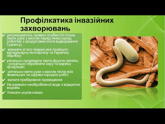 Профілкатика інвазійних захворювань дотримуватись правил особистої гігієни (мити руки з милом