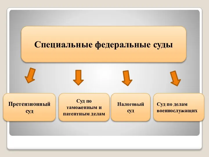 Налоговый суд Суд по таможенным и патентным делам Претензионный суд Специальные