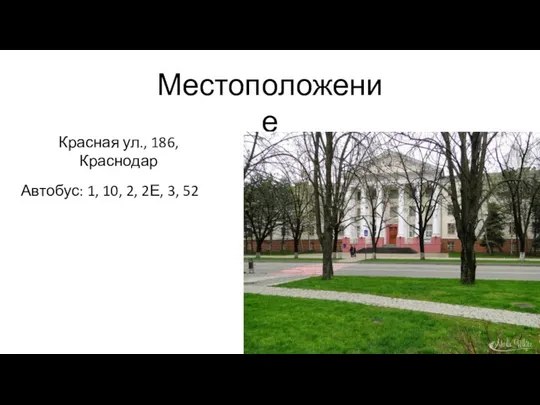 Местоположение Красная ул., 186, Краснодар Автобус: 1, 10, 2, 2Е, 3, 52