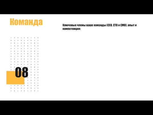 Команда 08 Ключевые члены ваше команды (CEO, CTO и СMO), опыт и компетенции: