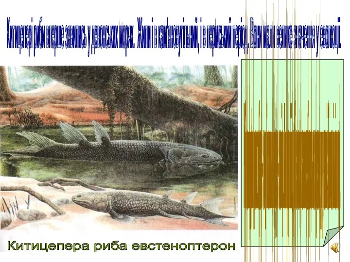 Китицепері риби вперше зявились у девонських морях. Жили і в кам'яновугільний,