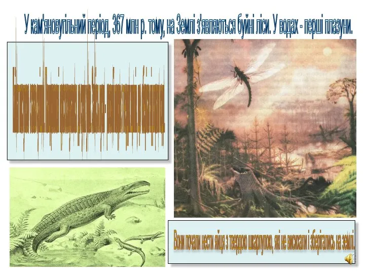 У кам'яновугільний період, 367 млн р. тому, на Землі з'являються буйні