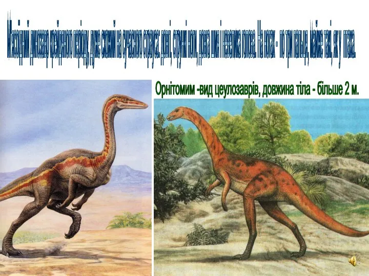 М'ясоїдний динозавр крейдяного періоду, дуже схожий на сучасного страуса: довгі, стрункі