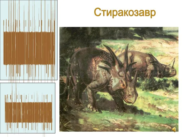 Стиракозавр Голова озброєна півметровим, гострим рогом. Задній ряд коміра розчленований на