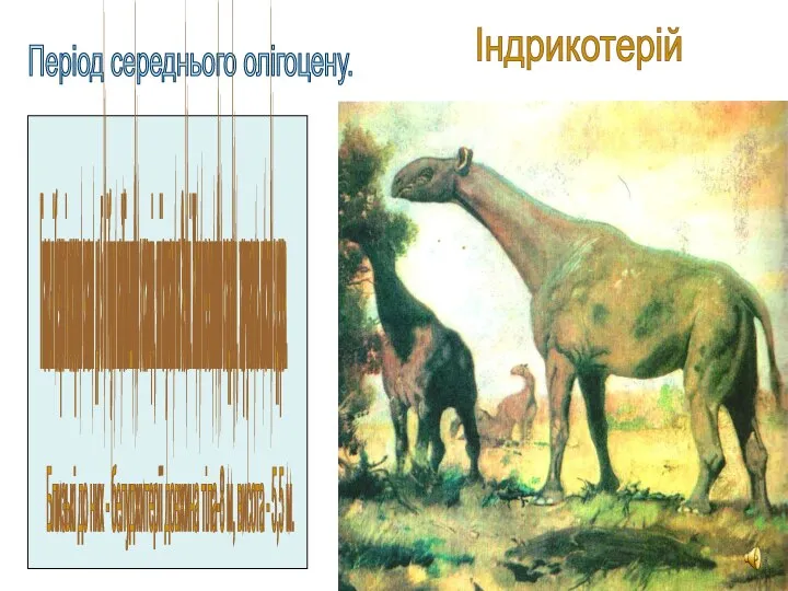 Індрикотерій Період середнього олігоцену. Гіганські безрогі носороги сягали до 5 м