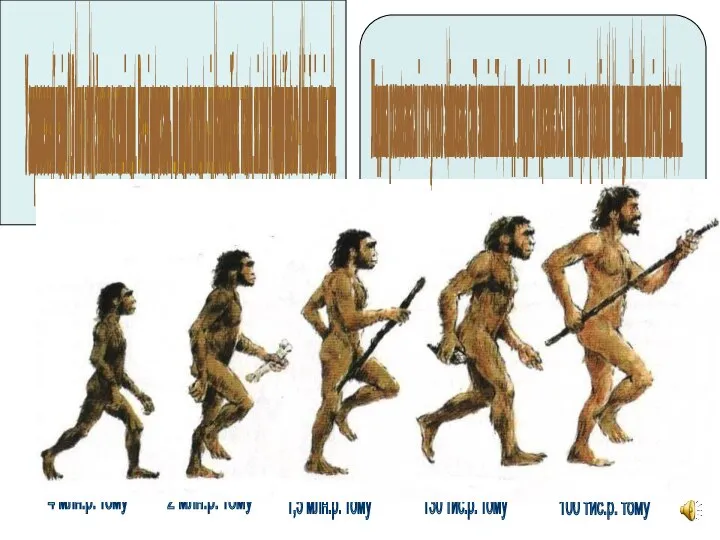 У антропогеновий період (1,8 млн р тому) з'являються перші люди. Вчнені