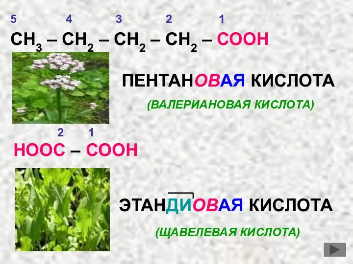 СН3 – СН2 – СН2 – СН2 – СООН ПЕНТАНОВАЯ КИСЛОТА