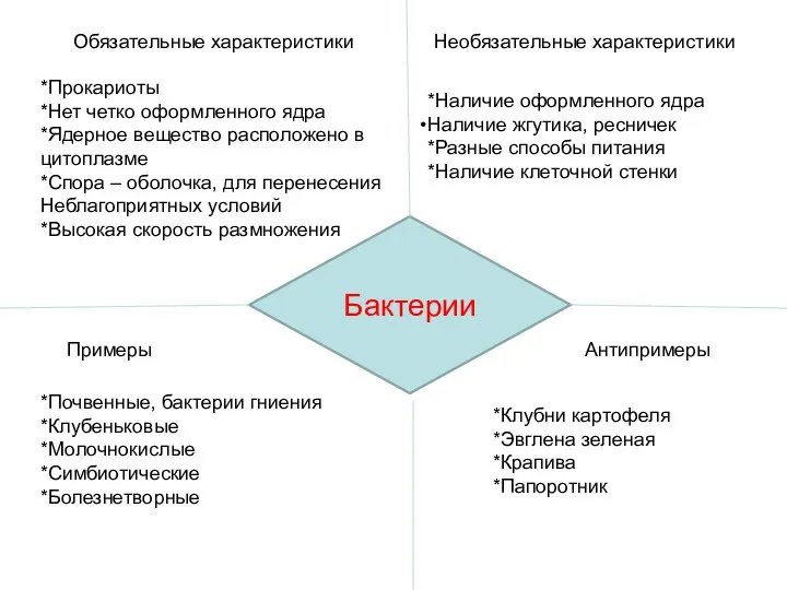 Бактерии Обязательные характеристики Необязательные характеристики Примеры Антипримеры *Прокариоты *Нет четко оформленного