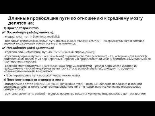 Длинные проводящие пути по отношению к среднему мозгу делятся на: 1)