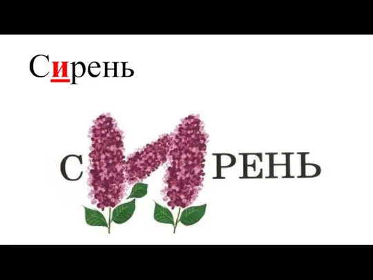 Сирень