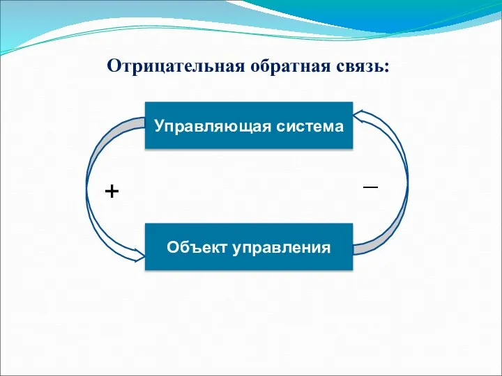 Отрицательная обратная связь: Управляющая система Объект управления + _