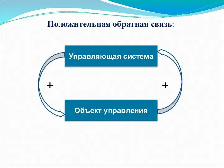 Положительная обратная связь: Управляющая система Объект управления + +