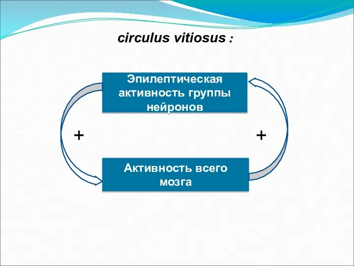 circulus vitiosus : Эпилептическая активность группы нейронов Активность всего мозга + +