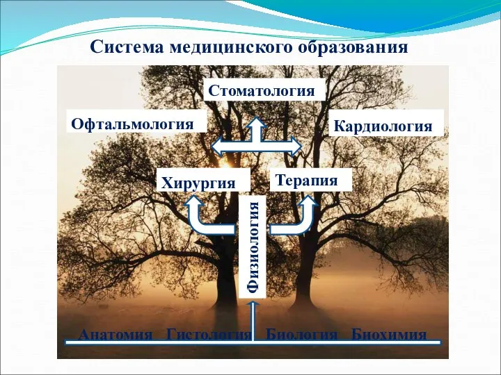 Система медицинского образования Кардиология Офтальмология Терапия Хирургия Физиология Стоматология