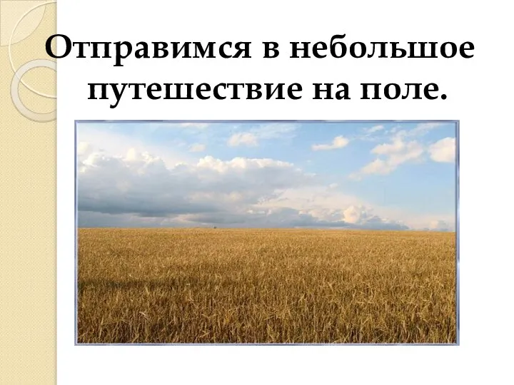 Отправимся в небольшое путешествие на поле.