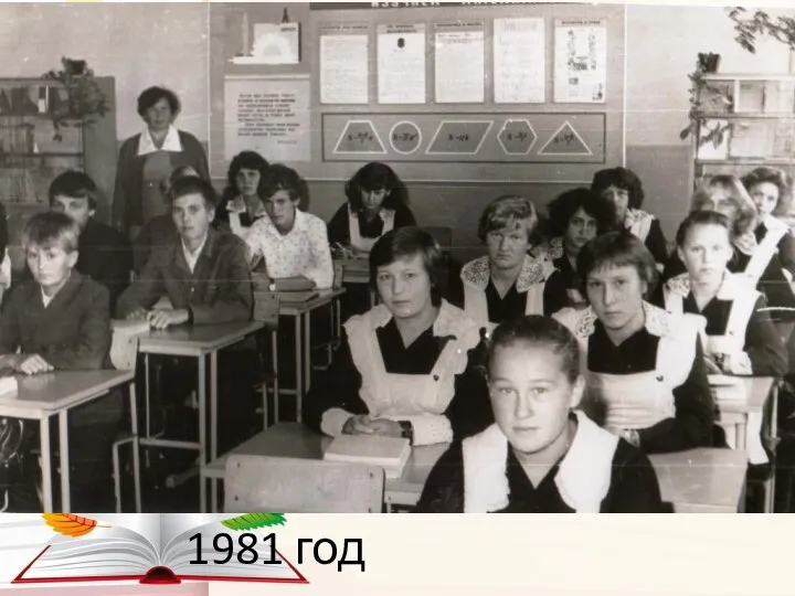 1981 год