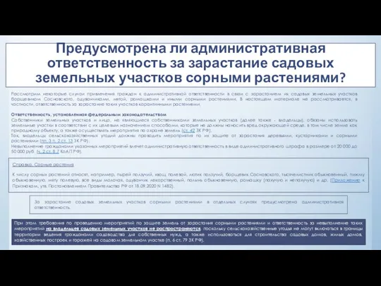 Предусмотрена ли административная ответственность за зарастание садовых земельных участков сорными растениями?