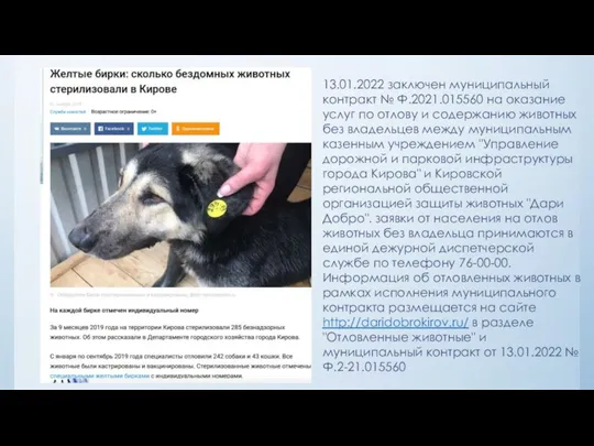 13.01.2022 заключен муниципальный контракт № Ф.2021.015560 на оказание услуг по отлову