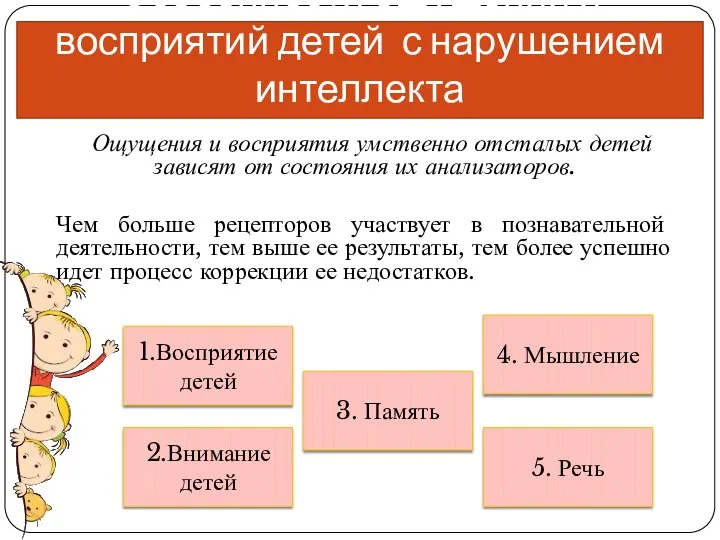 Ощущения и восприятия умственно отсталых детей зависят от состояния их анализаторов.